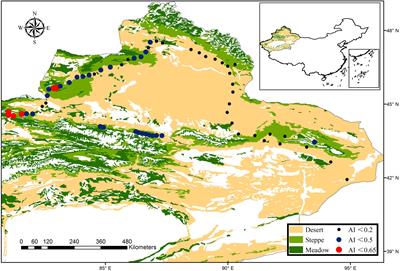 The Patterns and Drivers of Bacterial and Fungal β-Diversity in a Typical Dryland Ecosystem of Northwest China